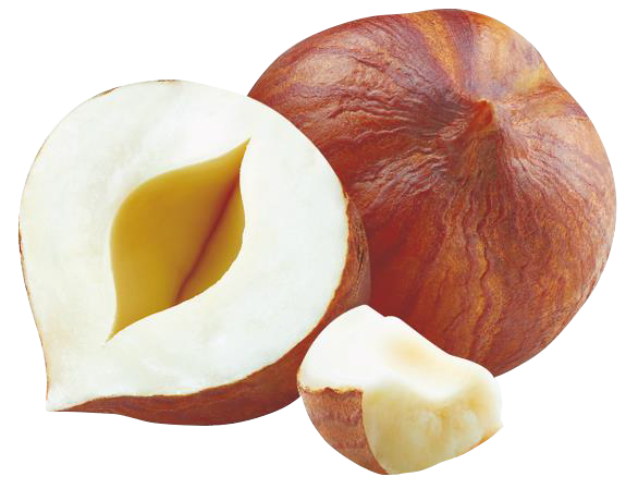 Fortimel® Creme Protein 2.4 kcal/g